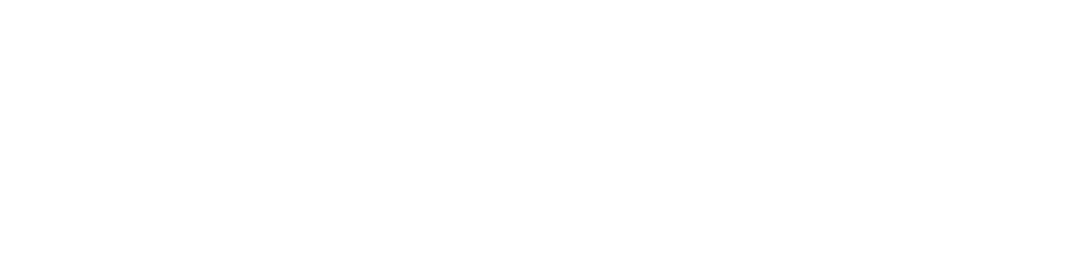 Liv City Hotel logo