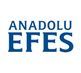 ANADOLU EFES