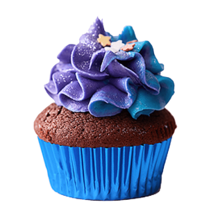 Birthday Cupcake