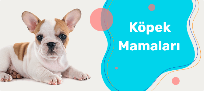 ivesgo Eticaret Teması