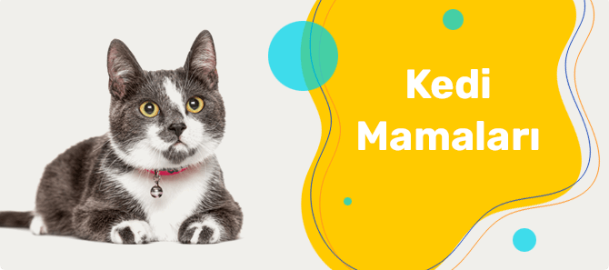 ivesgo Eticaret Teması