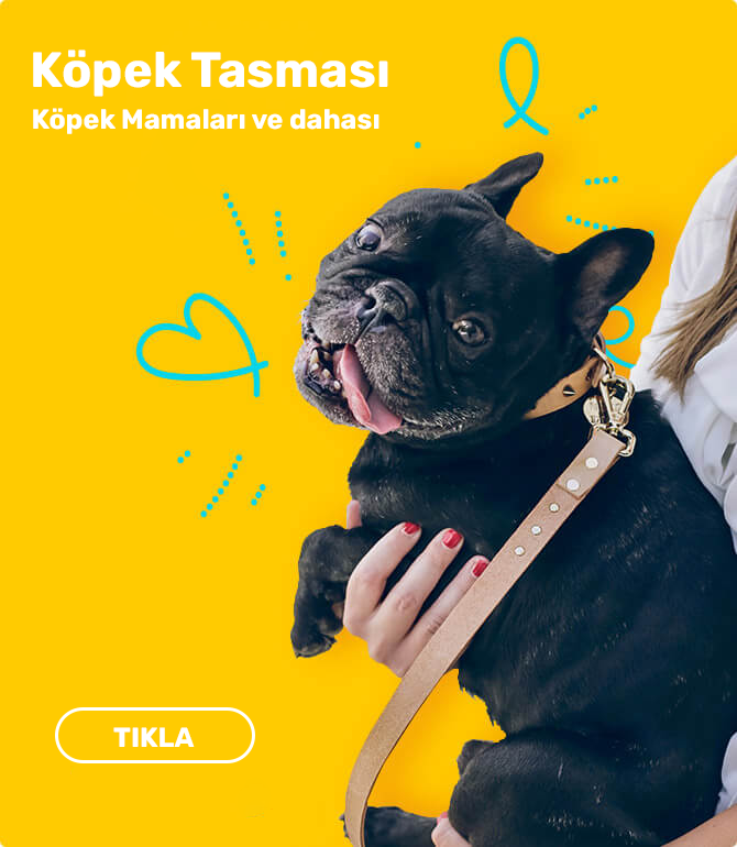 ivesgo Eticaret Teması