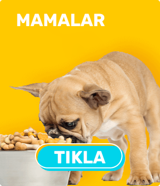 ivesgo Eticaret Teması