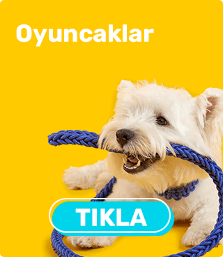 ivesgo Eticaret Teması