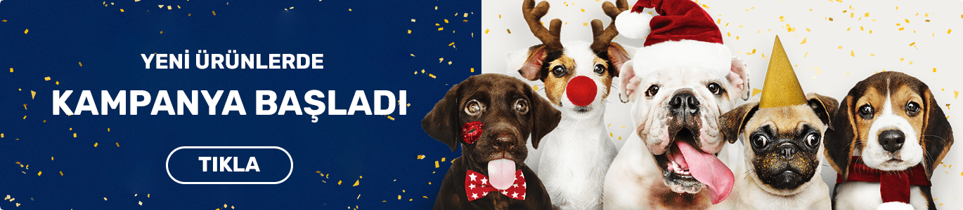 ivesgo Eticaret Teması