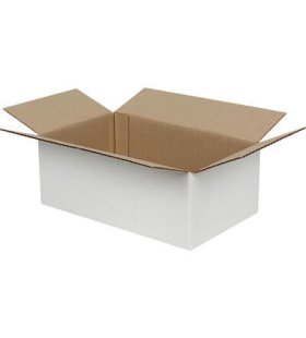 20x15x10cm Tek Oluklu Koli - Beyaz