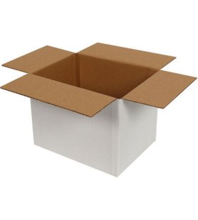 20x15x15cm Tek Oluklu Koli - Beyaz